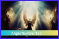 
ANGEL NUMBER 165
