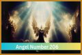
ANGEL NUMBER 206
