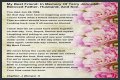 Farewell To A Beloved Husband, Father, And Friend