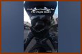 Night Rider Arrested, What Happened To Night Rider?