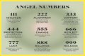 
Repeating Angel Numbers - 3's and 6's  (3366, 3636, 6633, 6363 etc)
